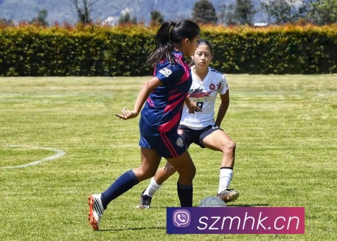 开云在线登录入口官网全站App 开云在线登录入口官网全站App